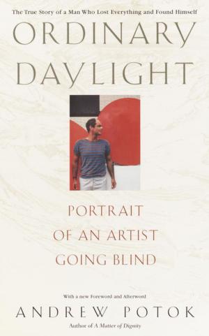 Cover of the book Ordinary Daylight by Franziska Krug