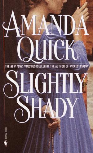 Cover of the book Slightly Shady by Harvey Mackay