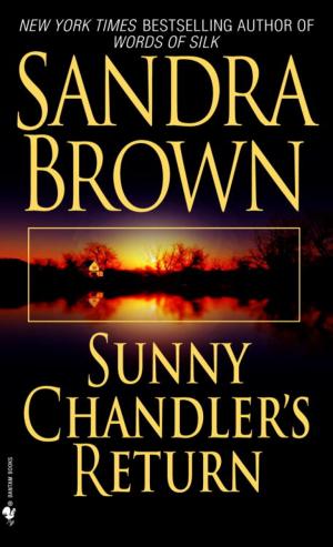 Cover of the book Sunny Chandler's Return by Eden Bradley
