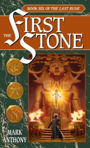 Cover of the book The First Stone by Barrie Savory