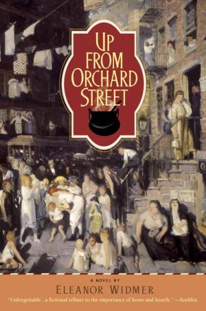 Cover of the book Up from Orchard Street by Janice Steinberg