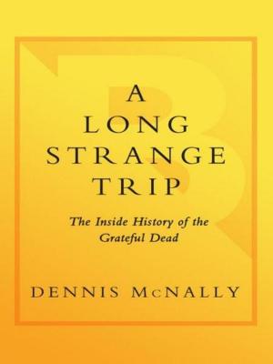 Cover of the book A Long Strange Trip by Joe Lunkas
