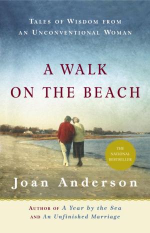 Book cover of A Walk on the Beach
