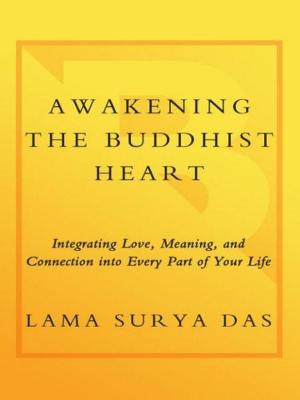 Cover of the book Awakening the Buddhist Heart by Tim Freke