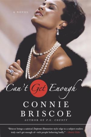 Cover of the book Can't Get Enough by Penelope L'Amoreaux