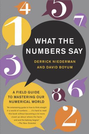 Cover of the book What the Numbers Say by Liz Curtis Higgs
