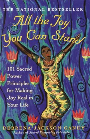 Cover of the book All the Joy You Can Stand by Ann C. Barham, MA, LMFT