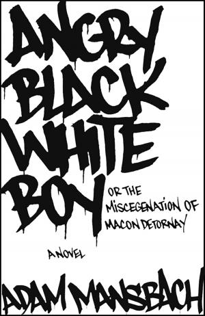 Cover of the book Angry Black White Boy by Bill Yarrow