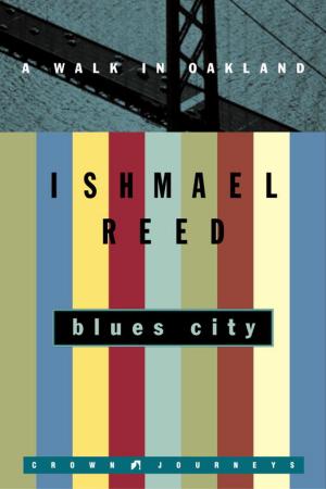 Book cover of Blues City