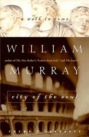 Cover of the book City of the Soul by Robert Tabb