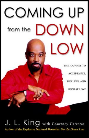 Cover of the book Coming Up from the Down Low by Graeme Aitken