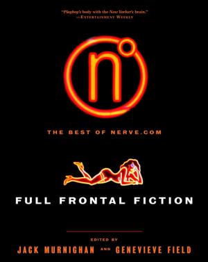bigCover of the book Full Frontal Fiction by 