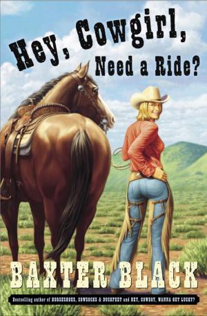 Cover of the book Hey, Cowgirl, Need a Ride? by Ben Brinkburn