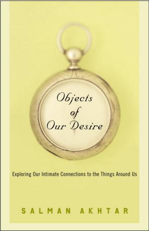 Book cover of Objects of Our Desire
