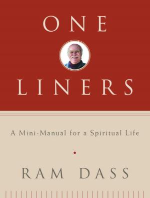 Cover of the book One-Liners by Andrew W. Lukonis