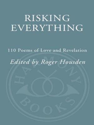 Cover of the book Risking Everything by Edgard Allan  Poe