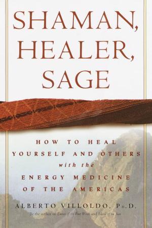 Cover of the book Shaman, Healer, Sage by Are Waerland