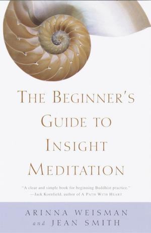 Book cover of The Beginner's Guide to Insight Meditation