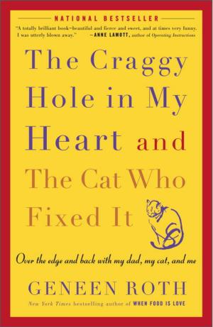 Book cover of The Craggy Hole in My Heart and the Cat Who Fixed It