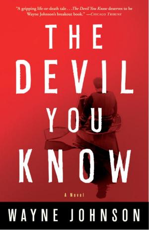 Cover of the book The Devil You Know by Fredric Stern