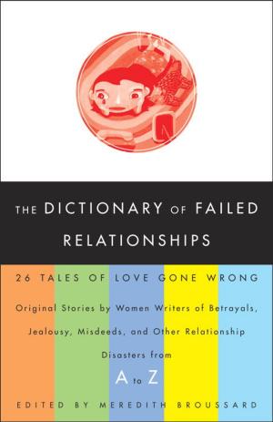 Cover of the book The Dictionary of Failed Relationships by Ned Johnson