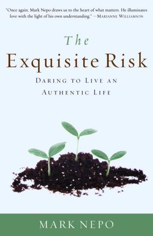 Cover of the book The Exquisite Risk by Penny Robichaux-Koontz