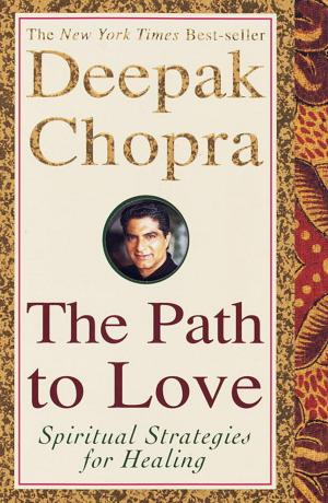 Book cover of The Path to Love