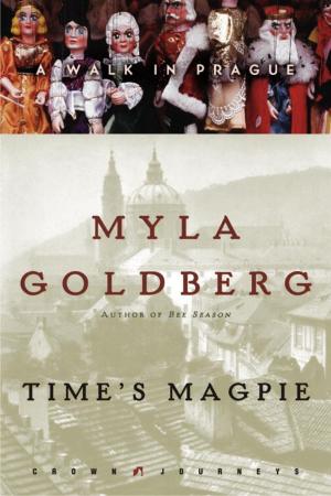 Cover of the book Time's Magpie by Matthew Green