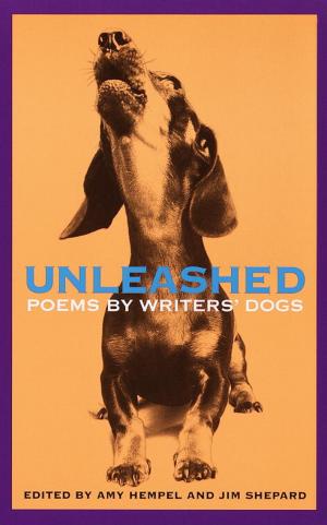 Cover of the book Unleashed by Kimberly Bird
