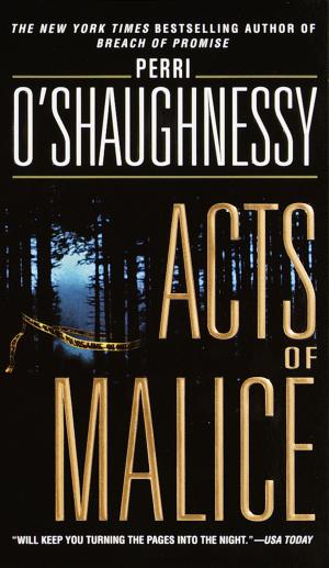 Cover of the book Acts of Malice by Danielle Nicole Bienvenu