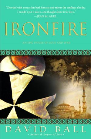 Book cover of Ironfire