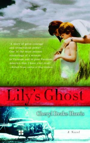 Cover of the book Lily's Ghost by Andrea Smith