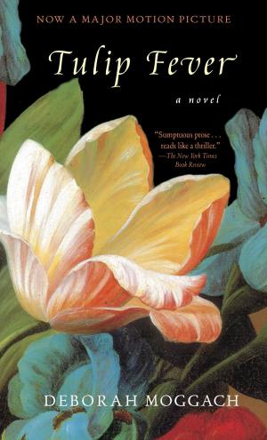 Cover of the book Tulip Fever by Jim Davis