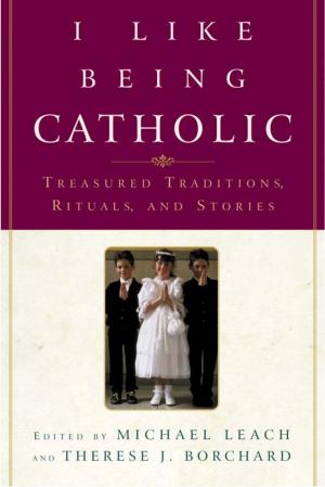 Book cover of I Like Being Catholic