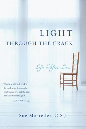 Cover of the book Light Through the Crack by Penny Lea