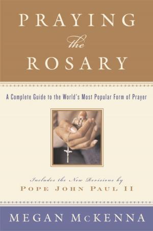 Cover of the book Praying the Rosary by Jonathan Aitken