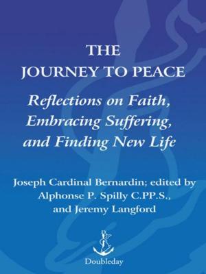 Cover of the book The Journey to Peace by Kerry Shook, Chris Shook