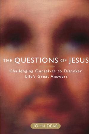 Cover of the book The Questions of Jesus by Terri McFaddin