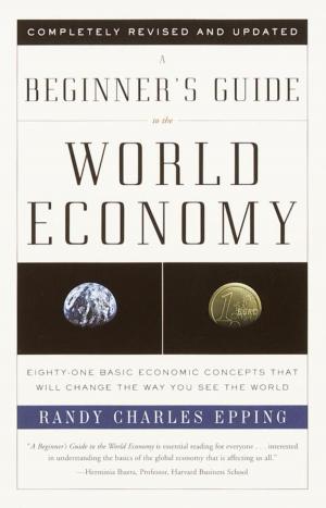 Cover of the book A Beginner's Guide to the World Economy by Terry Pratchett, Ian Stewart, Jack Cohen