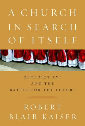Book cover of A Church in Search of Itself