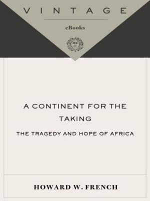 Cover of the book A Continent for the Taking by Catherine Texier