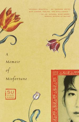 Cover of the book A Memoir of Misfortune by Bernard Bailyn