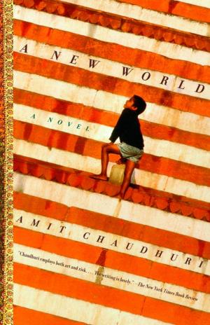 Cover of the book A New World by Swan Huntley