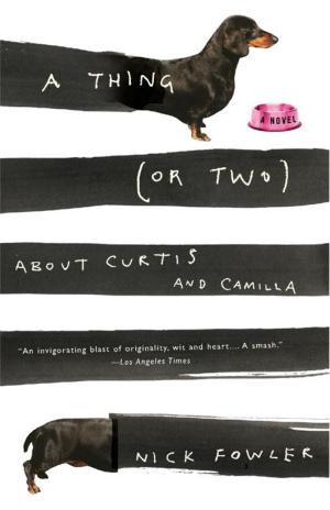 Cover of the book A Thing (or Two) About Curtis and Camilla by Steven Spruill