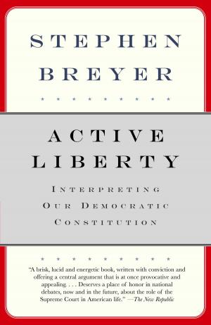 bigCover of the book Active Liberty by 