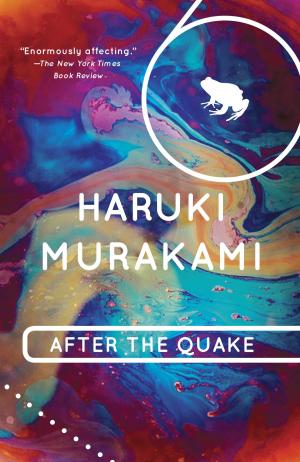 Cover of the book After the Quake by J.B. Kleynhans