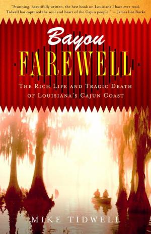 Cover of the book Bayou Farewell by Gérard de Villiers