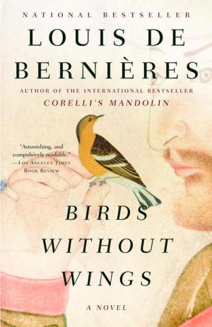 Book cover of Birds Without Wings