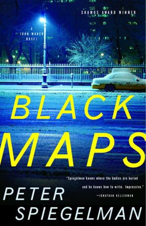 Cover of the book Black Maps by DC Pierson