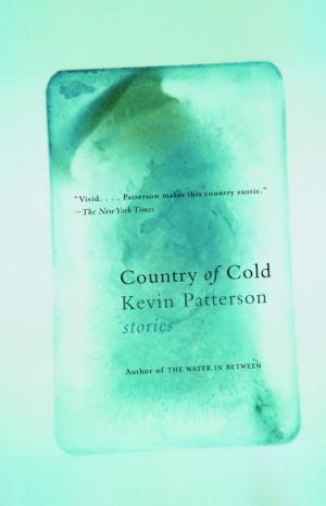 Cover of the book Country of Cold by Heidi Julavits
